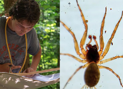 Hartwick College student at Pine Lake conducting research and spider