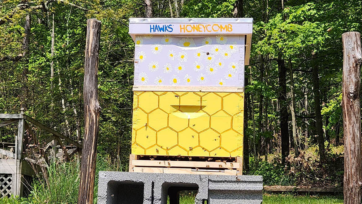 Bee hive as Hartwick College Pine Lake Environmental Campus