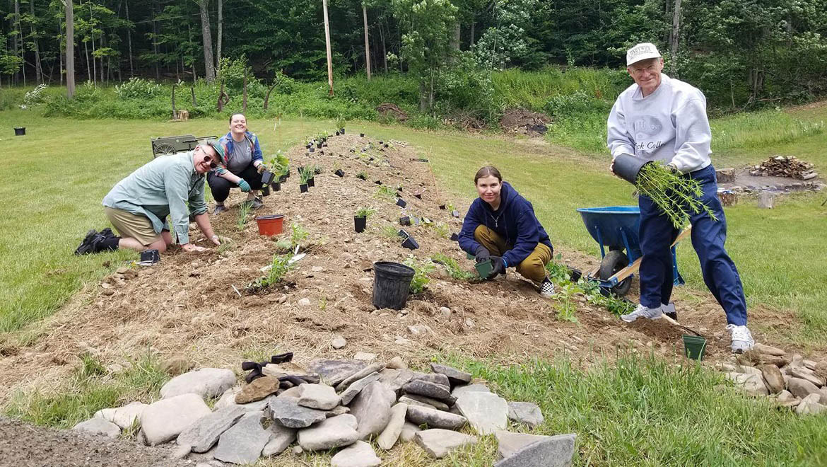 Hartwick alumni planting native plants at Pine Lake Environmental Campus